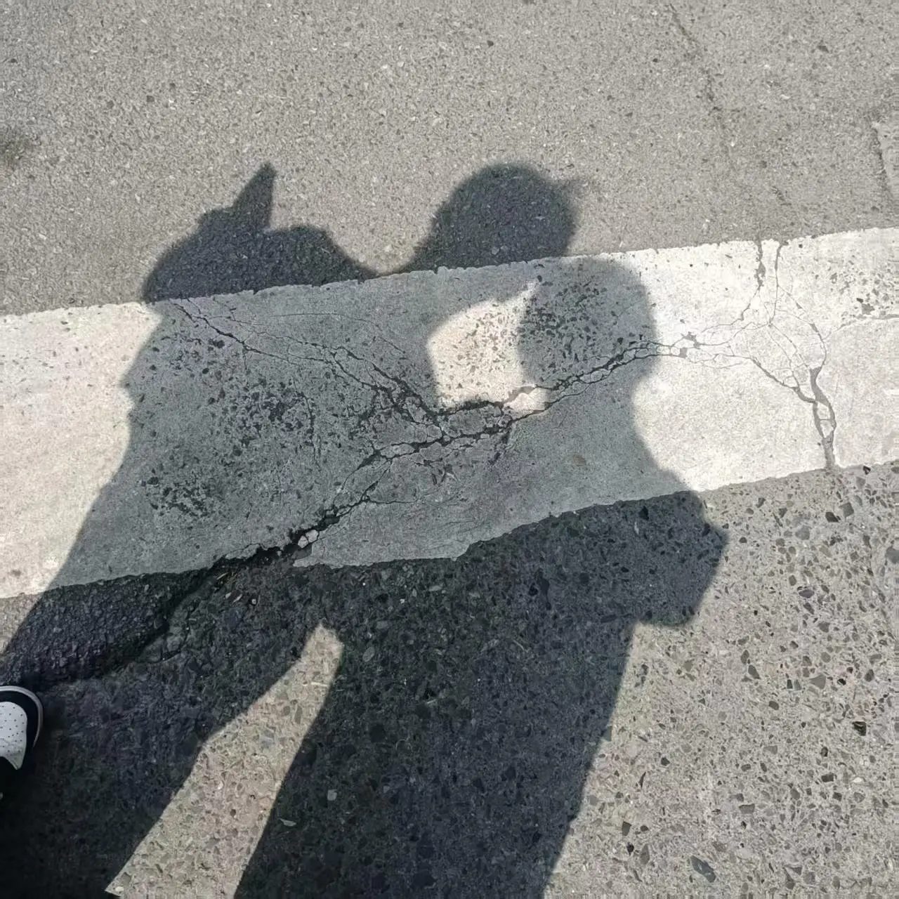 大合照