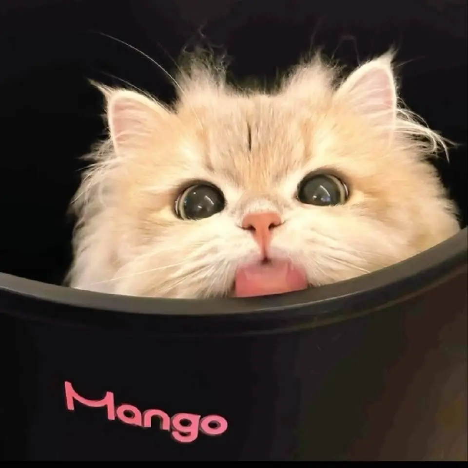 She